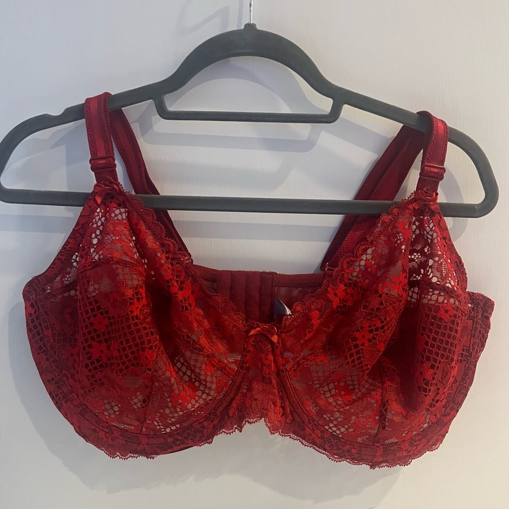 Adore Me Red Lace Bra size 42DDD